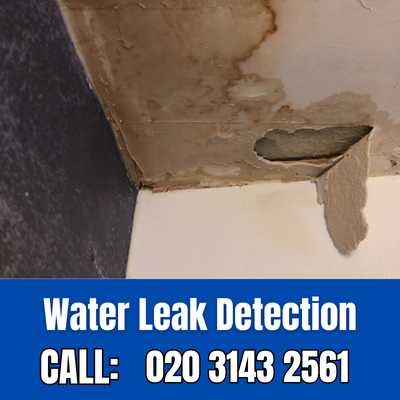 Expert Water Leak Detection Services in West Brompton | West Brompton Leak Detection